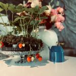 How can I find my first client for social media marketing?